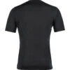 Odlo Men's Suw Natural T-Shirt