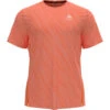 Odlo Men's Zeroweight Enginee Chill-Tec T-Shirt -Odlo iview 1098752 011 pic1