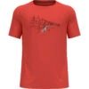 Odlo Men's Essential Print T-Shirt